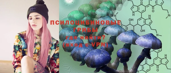 ГАЛЛЮЦИНОГЕННЫЕ ГРИБЫ Алексеевка