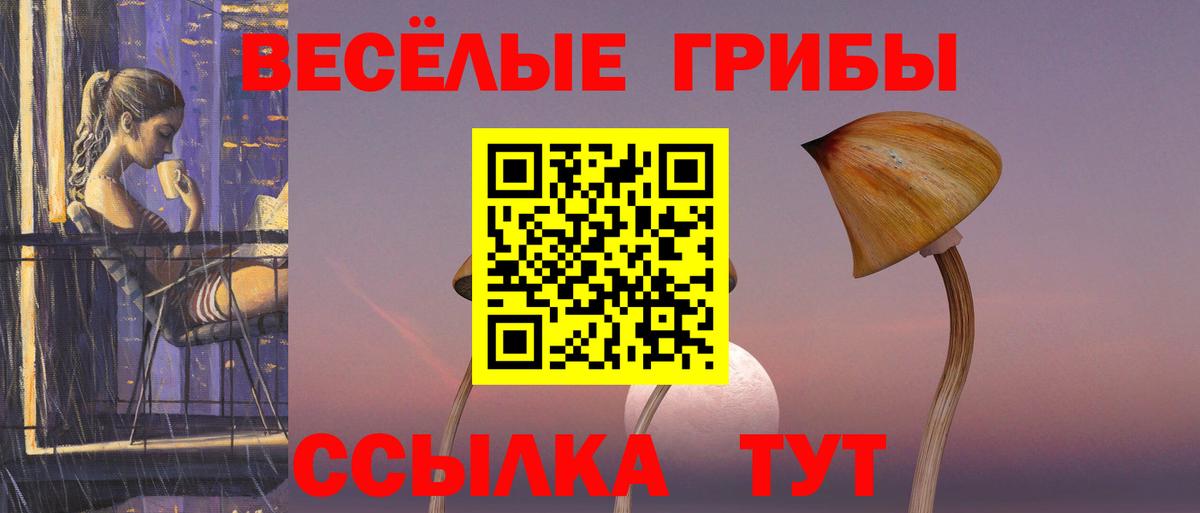 Псилоцибиновые грибы MAGIC MUSHROOMS Сыктывкар